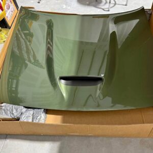 Dodge Challenger Scatpack OEM F8 Green Hood