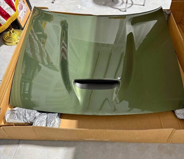 Dodge Challenger Scatpack OEM F8 Green Hood